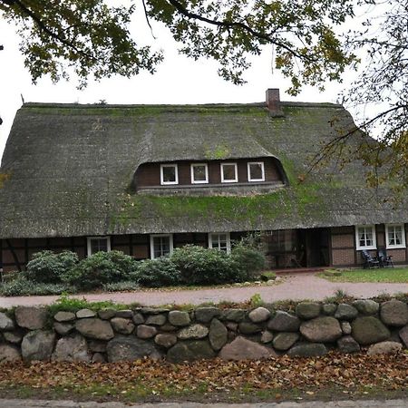 Apartament Reit- Und Bauernhof Klaucke Trebel Zewnętrze zdjęcie