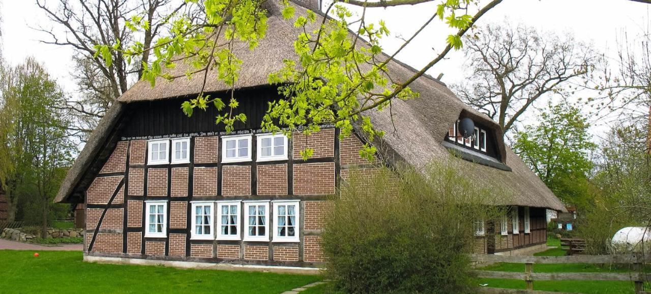 Apartament Reit- Und Bauernhof Klaucke Trebel Zewnętrze zdjęcie
