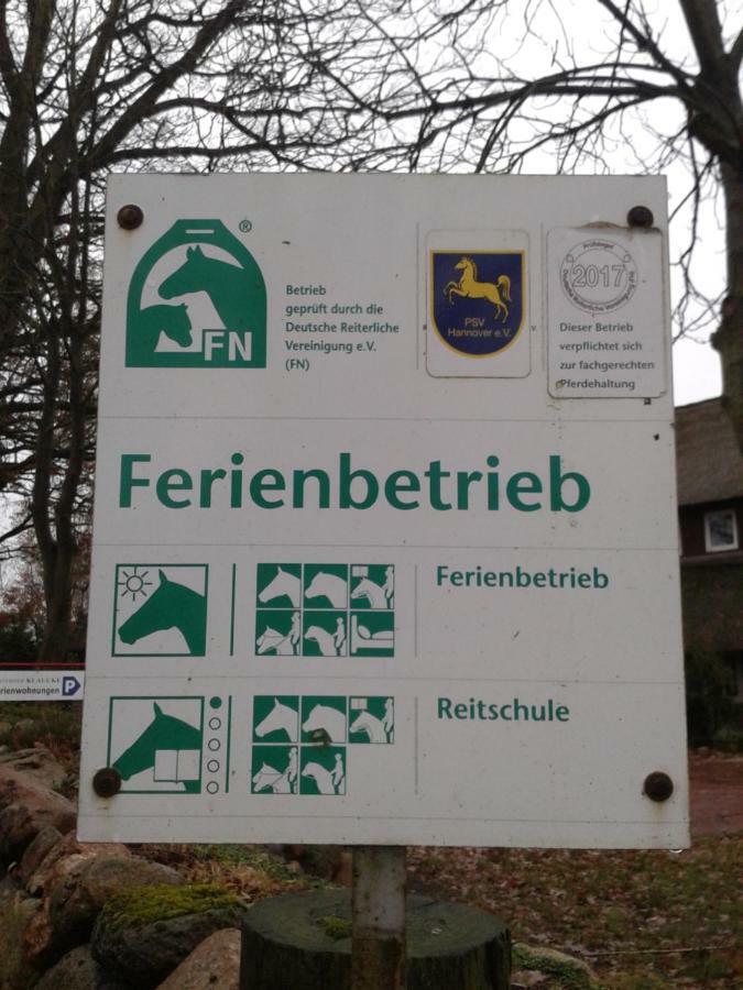 Apartament Reit- Und Bauernhof Klaucke Trebel Zewnętrze zdjęcie